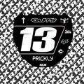 RACE ODI DECAL